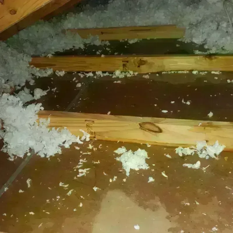 Attic Water Damage in Pulaski County, VA