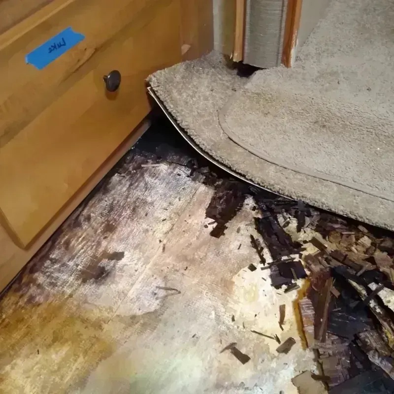 Wood Floor Water Damage in Pulaski County, VA